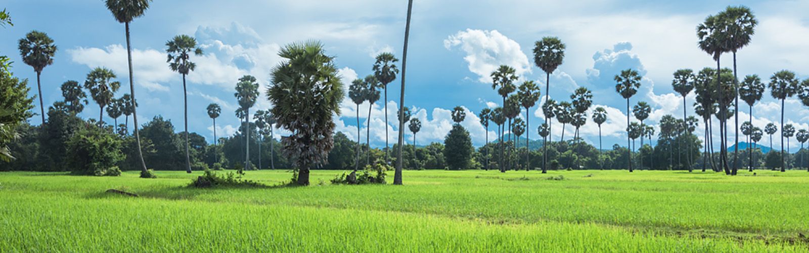 Cambodia Loop